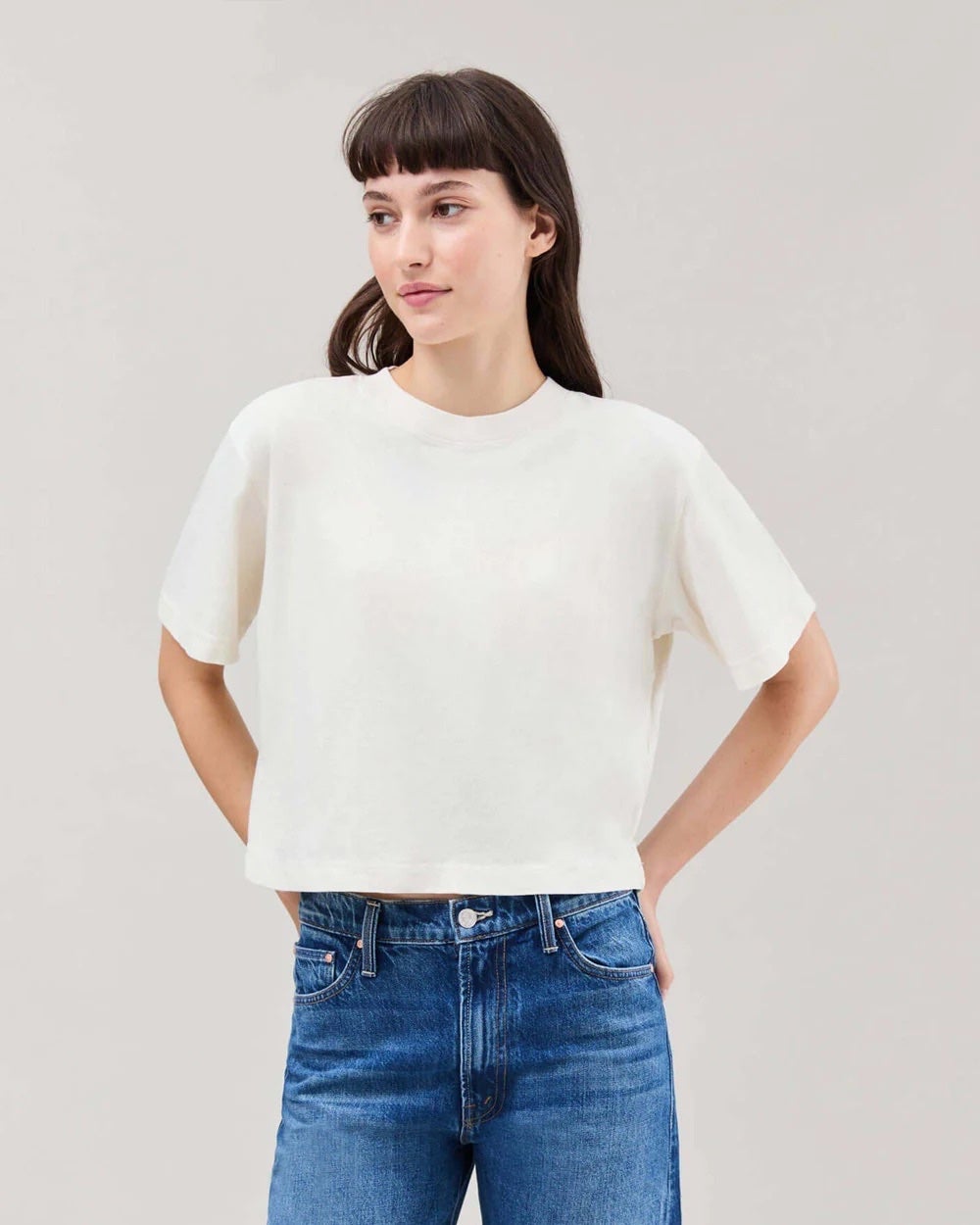 Richer Poorer Relaxed Crop Tee - Bone, photo 1 of 4