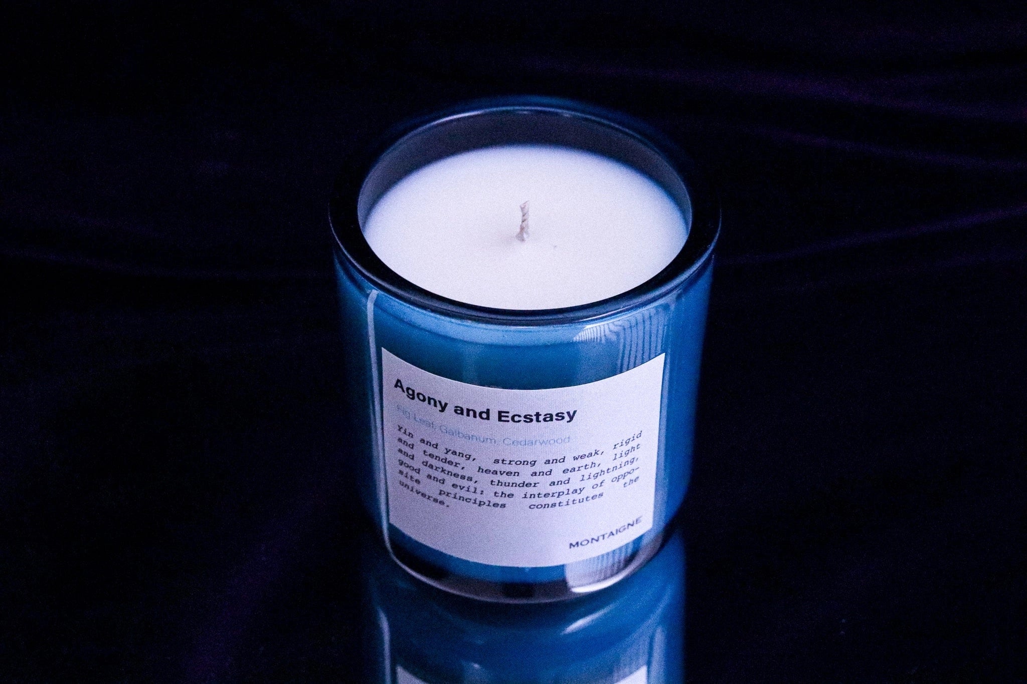 Montaigne Agony and Ecstasy Candle, photo 3 of 4